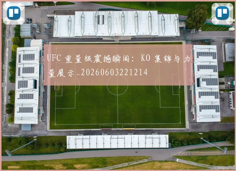 UFC 重量级震撼瞬间:KO 集锦与力量展示_20260603221214